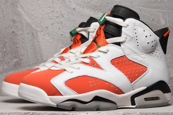 Jordan 6-043